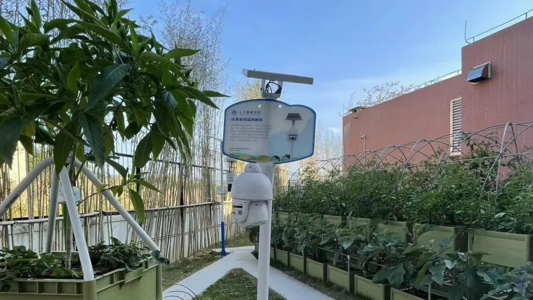 華珠舉行人工智能學(xué)院科技小院揭牌儀式16.jpg 華珠舉行人工智能學(xué)院科技小院揭牌儀式16.jpg